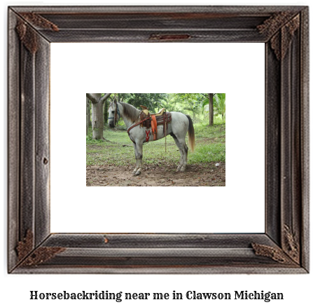 horseback riding near me in Clawson, Michigan